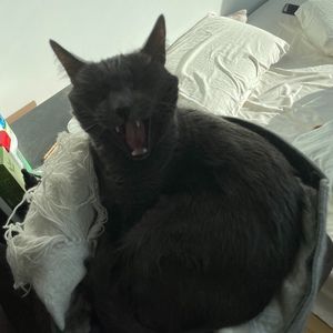 Meet your Posher, Timothy